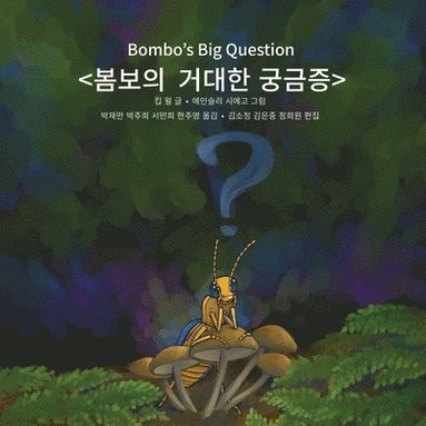 Kip Will - Bombo's Big Question, Häftad