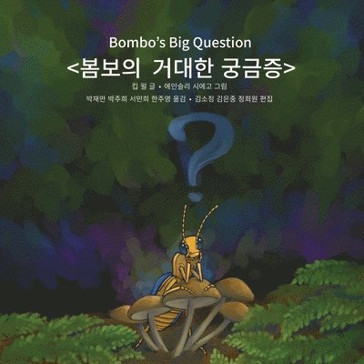 Bombo's Big Question