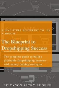 bokomslag Blueprint to Dropshipping Success