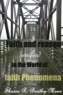 bokomslag Faith and Reason Unified in the World of Faith Phenomena