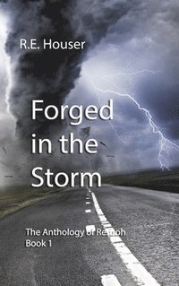 bokomslag Forged in the Storm