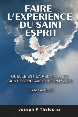 bokomslag FAIRE LEXPERIENCE DU SAINT ESPRIT