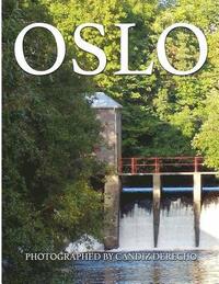 bokomslag Oslo (English Version)
