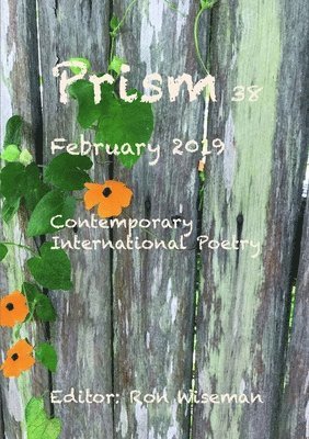 bokomslag Prism 38 - February 2019