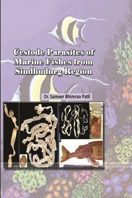 bokomslag Cestode Parasites of Marine Fishes from Sindhudurg Region