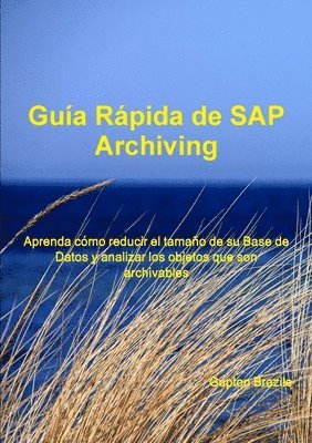 Guía Rápida de SAP Archiving