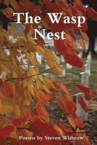 bokomslag The Wasp Nest: Poems