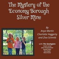 bokomslag Mystery of the Economy Borough Silver Mine DIRECT