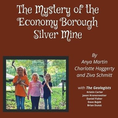 bokomslag Mystery of the Economy Borough Silver Mine DIRECT