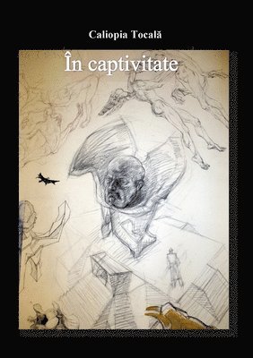 n captivitate 1