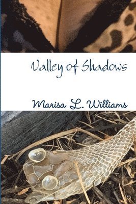 Valley of Shadows 1