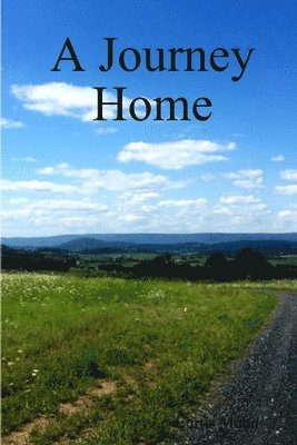 bokomslag A Journey Home