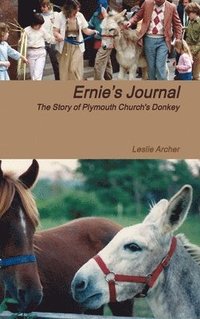 bokomslag Ernie's Journal