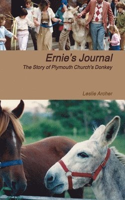 bokomslag Ernie's Journal