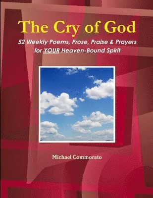 bokomslag Cry of God