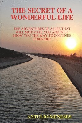 Secret of a Wonderful Life 1