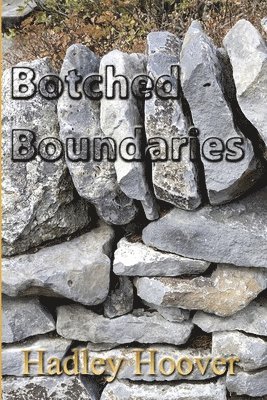 Botched Boundaries 1