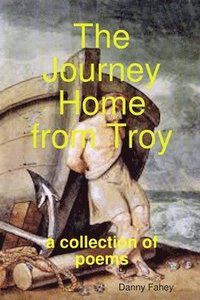 bokomslag Journey Home from Troy