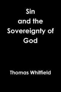 bokomslag Sin & the Sovereignty of God