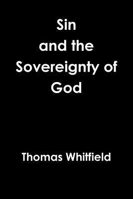 bokomslag Sin & the Sovereignty of God