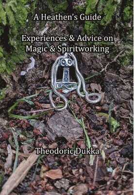 bokomslag Heathen's Guide Experiences & Advice On Magic & Spiritworking