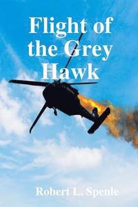 bokomslag Flight of the Grey Hawk