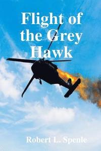 bokomslag Flight of the Grey Hawk