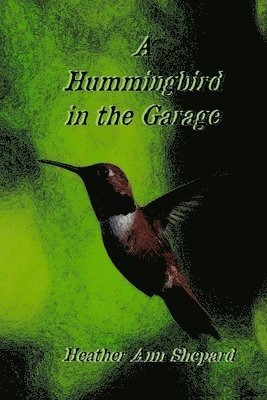 bokomslag A Hummingbird in the Garage