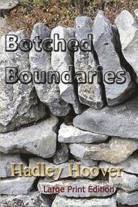 bokomslag Botched Boundaries (LP)