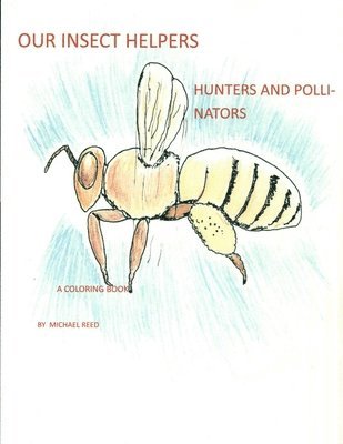 bokomslag Our Insect Helpers: Hunters and Pollinators