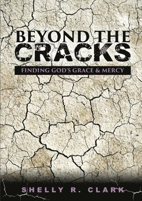 bokomslag Beyond the Cracks