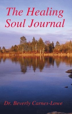 bokomslag Healing Soul Journal