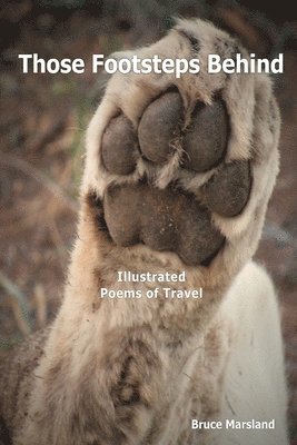 Bruce Marsland - Those Footsteps Behind: Illustrated Poems of Travel, Häftad