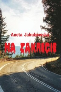 bokomslag Na Zakrecie