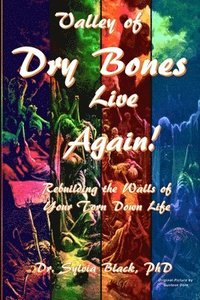 bokomslag Valley of Dry Bones Live Again Rebuilding the Walls of Your Torn Down Life