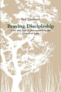 bokomslag Braving Discipleship