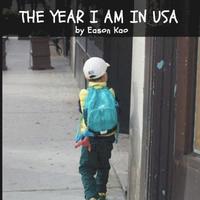 bokomslag The Year I Am In USA