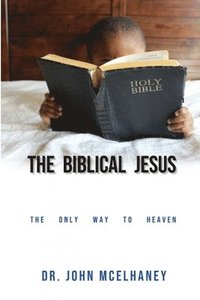 bokomslag The Biblical Jesus