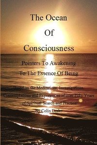 bokomslag The Ocean of Consciousness
