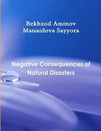 bokomslag &quot;Negative Consequences of Natural Disasters&quot;