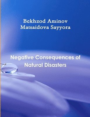 &quot;Negative Consequences of Natural Disasters&quot; 1