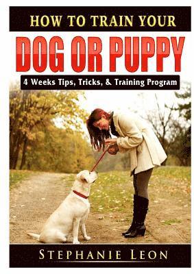 bokomslag How to Train Your Dog or Puppy