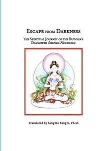 bokomslag Escape From Darkness