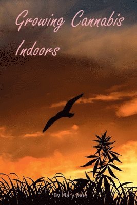 Growing Cannabis Indoors: Getting Started 1