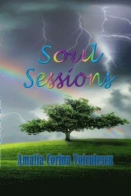 bokomslag Soul Sessions