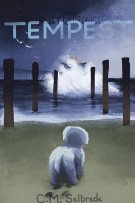 C M Selbrede - Valley Chronicles, Häftad