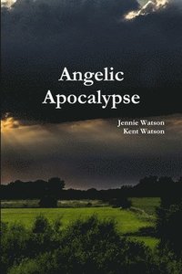 bokomslag Angelic Apocalypse