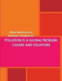 bokomslag Pollution Is a Global Problem