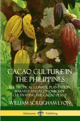 Cacao Culture in the Philippines: The Tropical Climate, Plantation, Harvest and Economics of Cultivating the Cacao Plant