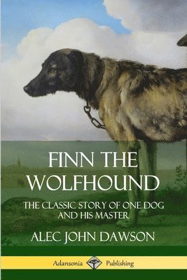 bokomslag Finn the Wolfhound: The Classic Story of One Dog and his Master